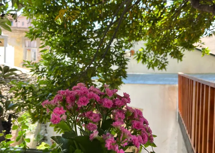 Dom wakacyjny Casa Jardim Mirandela